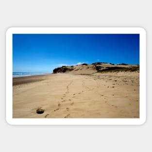 Sand Dune At Darby River Sticker